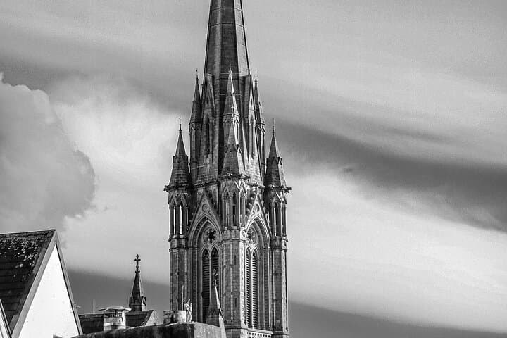 Cobh Shore Excursion: Blarney Castle & Kinsale Day Tour from Cork
