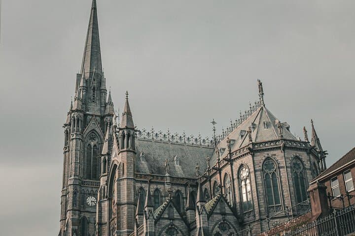 Cobh Shore Excursion: Blarney Castle & Kinsale Day Tour from Cork photo 5