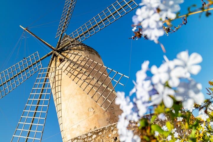 Palma & Valldemossa Shore Excursion: Serra de Tramuntana Highlights from the Cruise Port photo 3