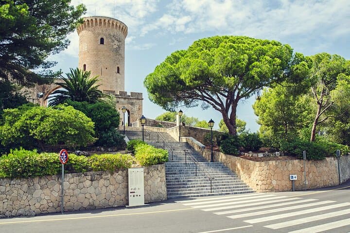 Palma de Mallorca & Valldemossa Shore Excursion — Cathedral, Tramuntana Views, and Mountain Villages photo 6