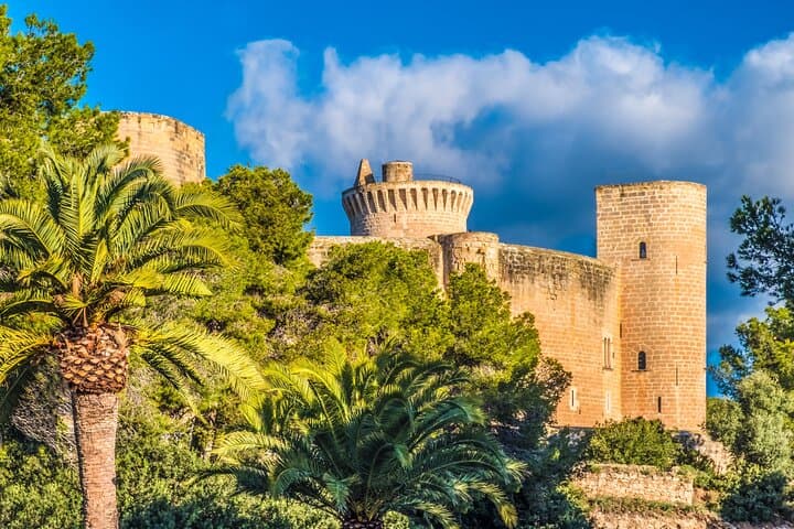 Palma & Valldemossa Shore Excursion: Tramuntana Views, Cathedral & Village Strolls photo 3
