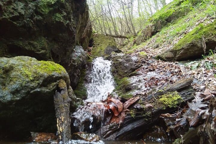 Foraging & Fortress Trails at Akhtala: Hiking, Foraging and Farm‑to‑Table Cooking in Lori Province photo 5
