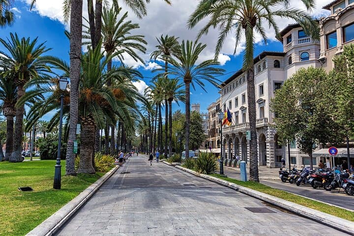 Palma & Valldemossa Shore Excursion: Tramuntana Views, Cathedral & Village Strolls photo 5