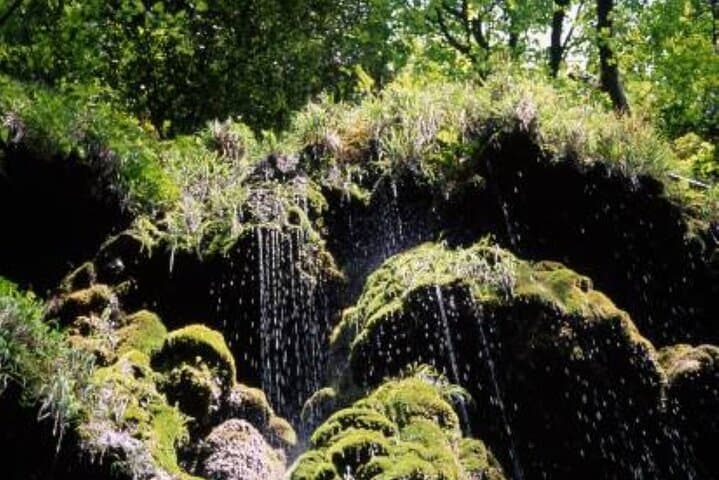 Valle delle Ferriere Private Hike with Transport and Amalfi Lunch