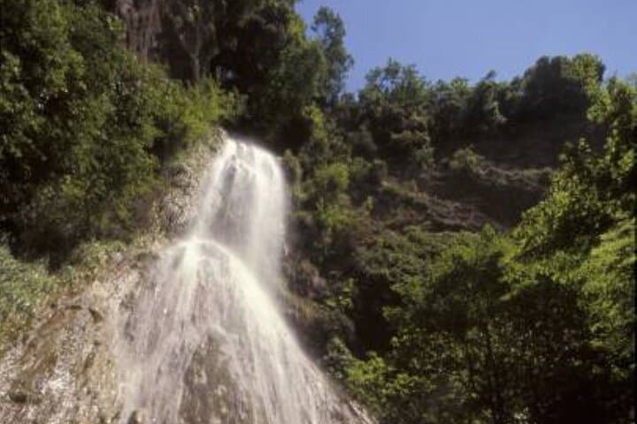 Valle delle Ferriere Private Hike with Transport and Amalfi Lunch photo 3