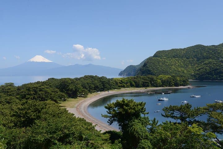 Beginner Fishing Tour in Heda: Suruga Bay with Mt. Fuji Views photo 3