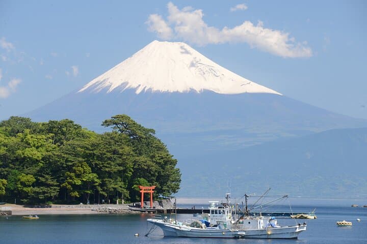 Beginner Fishing Tour in Heda: Suruga Bay with Mt. Fuji Views photo 4