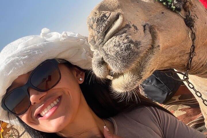 Full-Day Wadi El Rayan Desert Safari and Sandboarding from Cairo photo 5