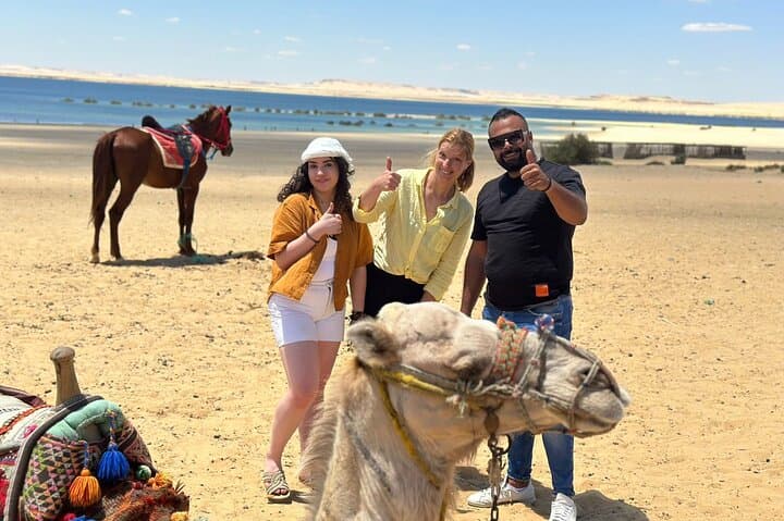 Full-Day Wadi El Rayan Desert Safari and Sandboarding from Cairo photo 6