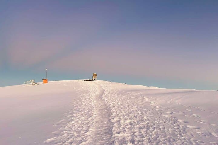 Lemosho Route 8-Day Kilimanjaro Trek: Private Guided Summit via Barafu and Mweka photo 5