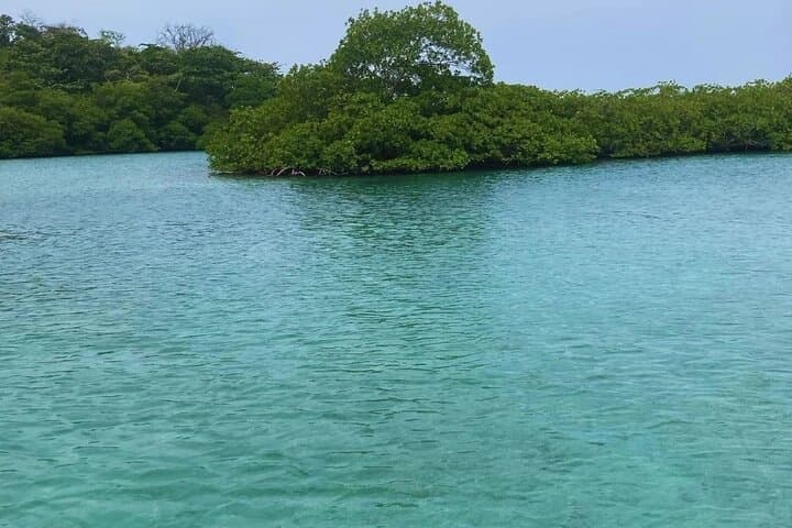 Mamey Island Beach Day — Portobelo’s Turquoise Pools & Monkey Island photo 4