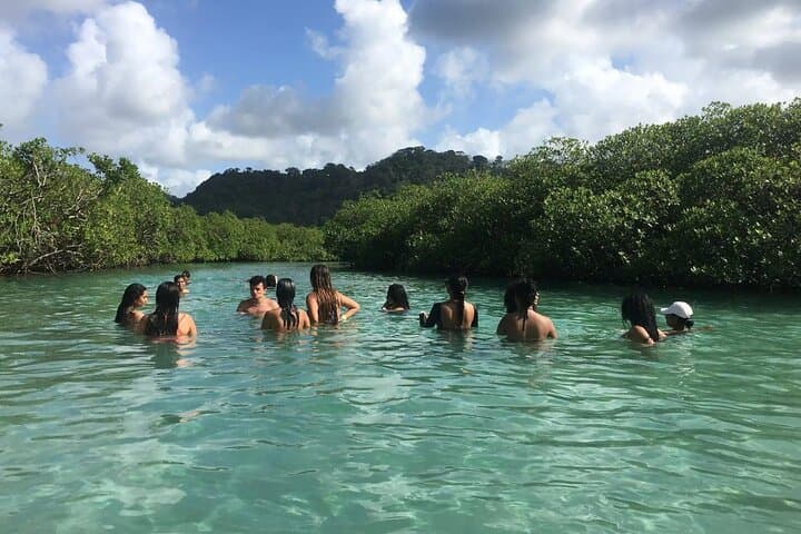 Mamey Island Beach Day — Portobelo’s Turquoise Pools & Monkey Island photo 5