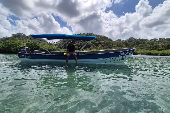 Mamey Island Beach Day — Portobelo’s Turquoise Pools & Monkey Island photo 6