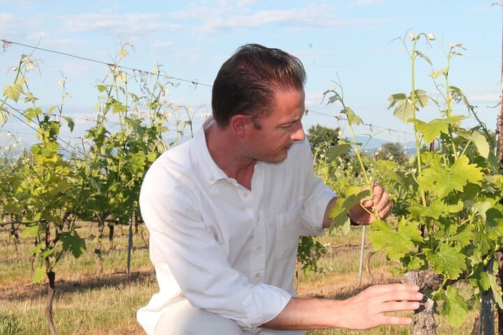 Provence Wine Tour: Day Trip to Aix-en-Provence Vineards and Tastings