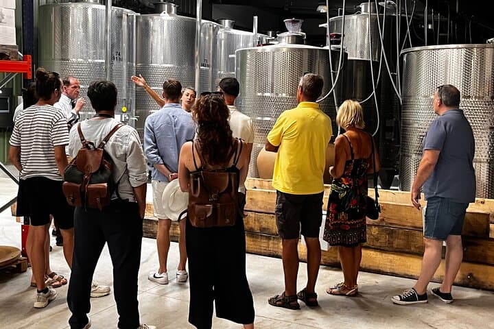 Provence Wine Tour: Day Trip to Aix-en-Provence Vineards and Tastings photo 4