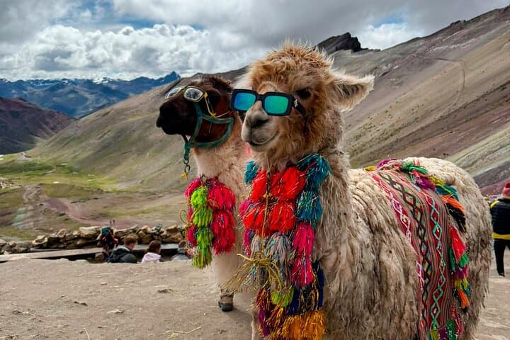 Vinicunca Quick Quad Tour: Mountain of Colors Easy Short Route from Cusco photo 5