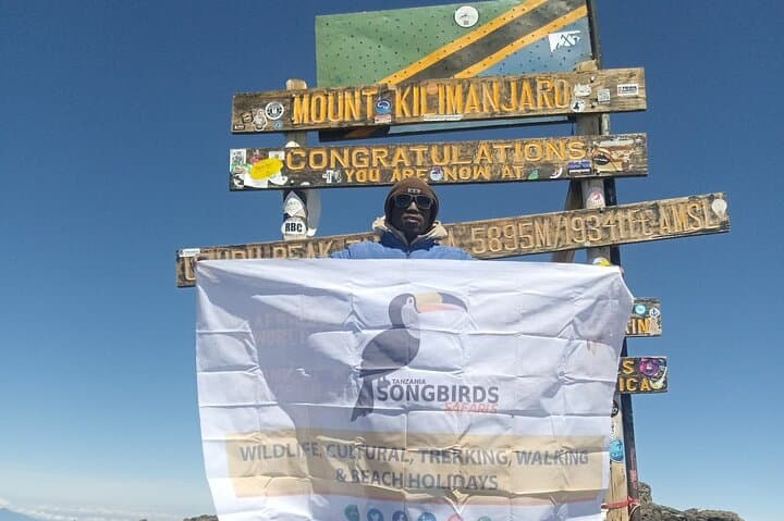 7-Day Lemosho Route Kilimanjaro Climb — Summit Uhuru Peak with Expert Guides photo 2