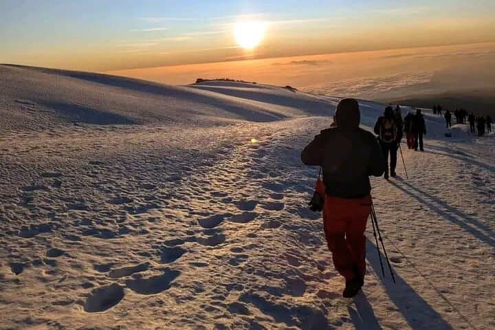 7-Day Lemosho Route Kilimanjaro Climb — Summit Uhuru Peak with Expert Guides photo 3