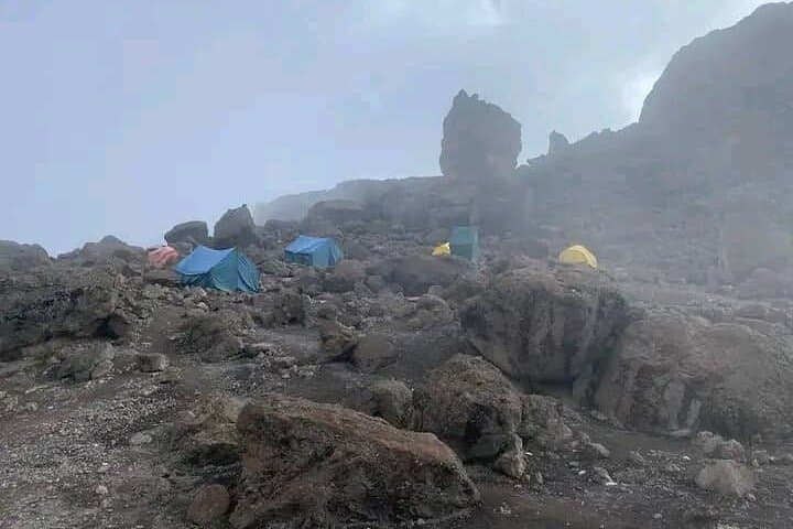 7-Day Lemosho Route Kilimanjaro Climb — Summit Uhuru Peak with Expert Guides photo 4