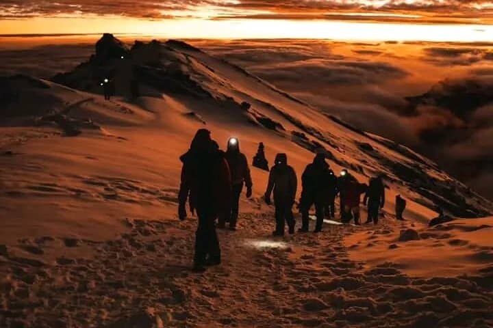 7-Day Lemosho Route Kilimanjaro Climb — Summit Uhuru Peak with Expert Guides photo 5