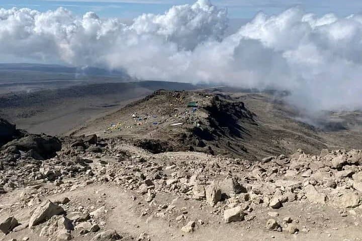 7-Day Lemosho Route Kilimanjaro Climb — Summit Uhuru Peak with Expert Guides photo 6