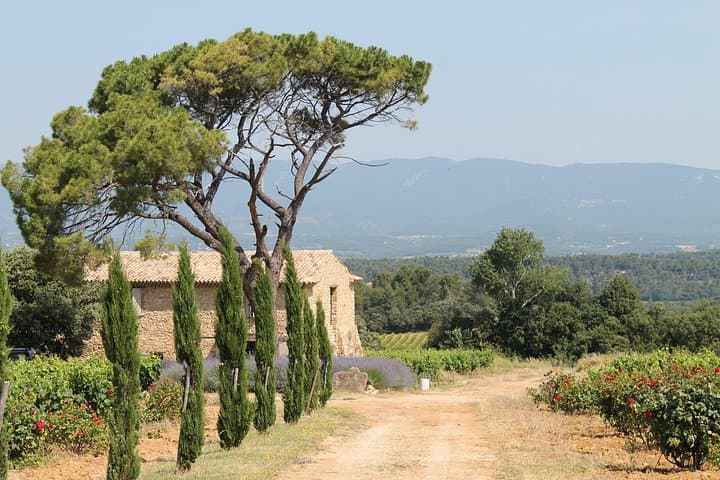 Provence Wine Tour: Day Trip to Aix-en-Provence Vineards and Tastings photo 2