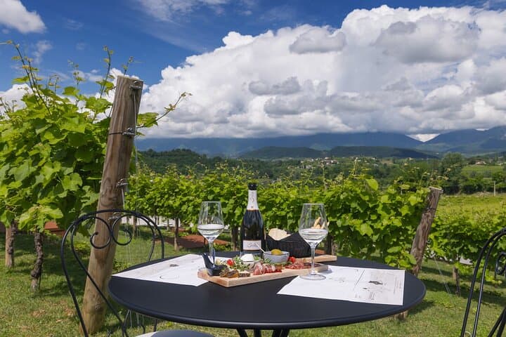 Prosecco Superiore DOCG Vineyard Walk and Tasting near Valdobbiadene
