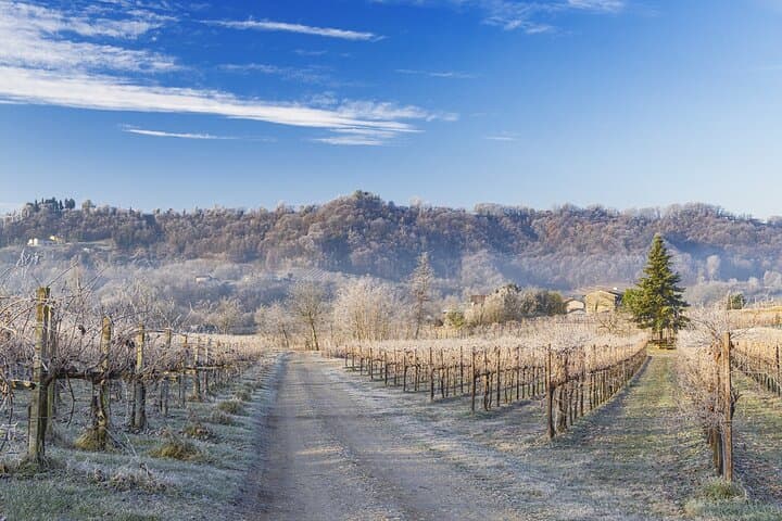 Prosecco Superiore DOCG Vineyard Walk and Tasting near Valdobbiadene photo 6