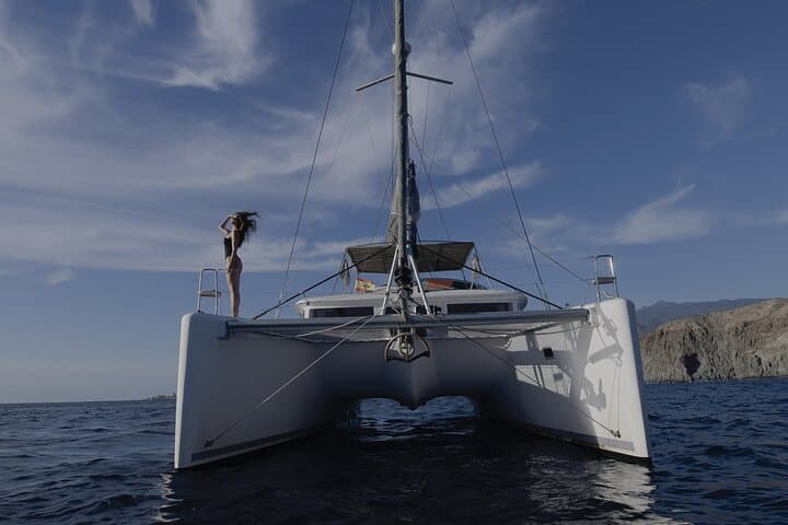 Tenerife 3-Hour Whale Watching Catamaran: Pilot Whales & Dolphins photo 2