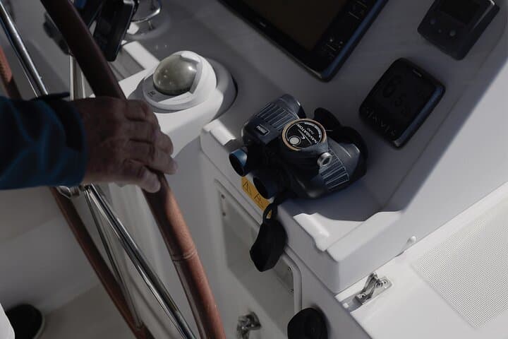 Tenerife 3-Hour Whale Watching Catamaran: Pilot Whales & Dolphins photo 3