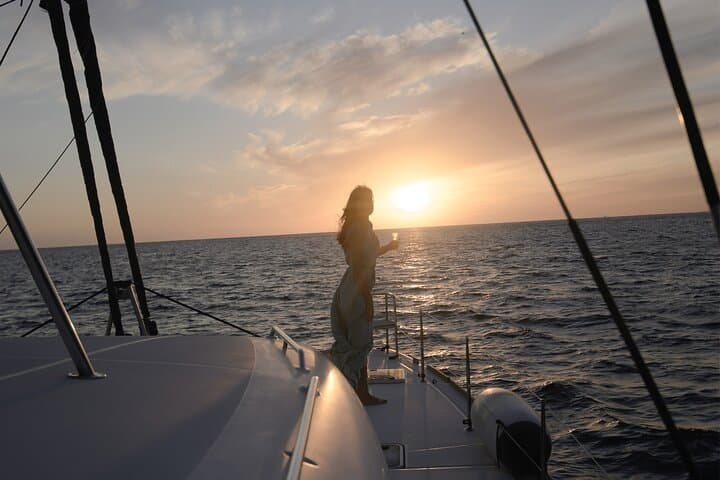 Tenerife 3-Hour Whale Watching Catamaran: Pilot Whales & Dolphins photo 6