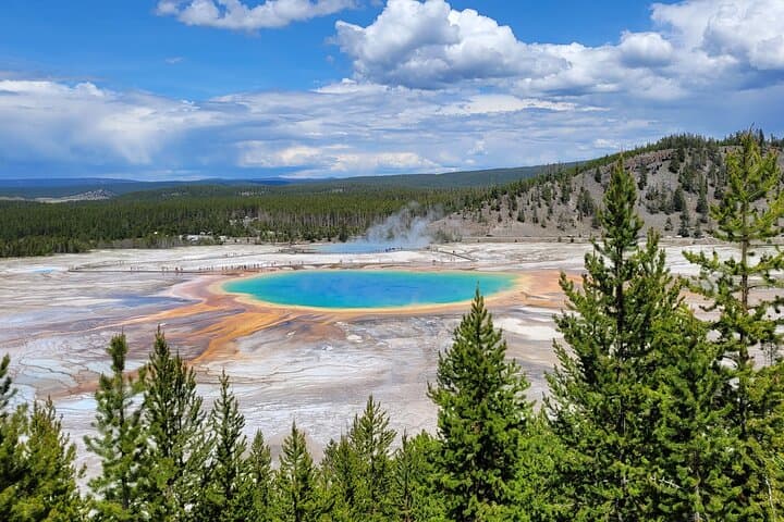 Yellowstone Full-Day Guided Tour: Old Faithful, Grand Prismatic & Wildlife photo 4