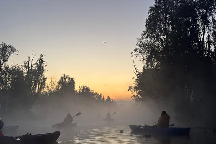 Sunrise Kayak in Xochimilco: Dawn Paddling Through Ancient Canals photo 4