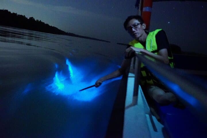 Kuala Selangor Fireflies & Blue Tears Night Boat Tour with Seafood Dinner photo 3