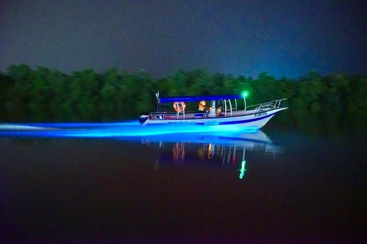 Kuala Selangor Fireflies & Blue Tears Night Boat Tour with Seafood Dinner photo 4