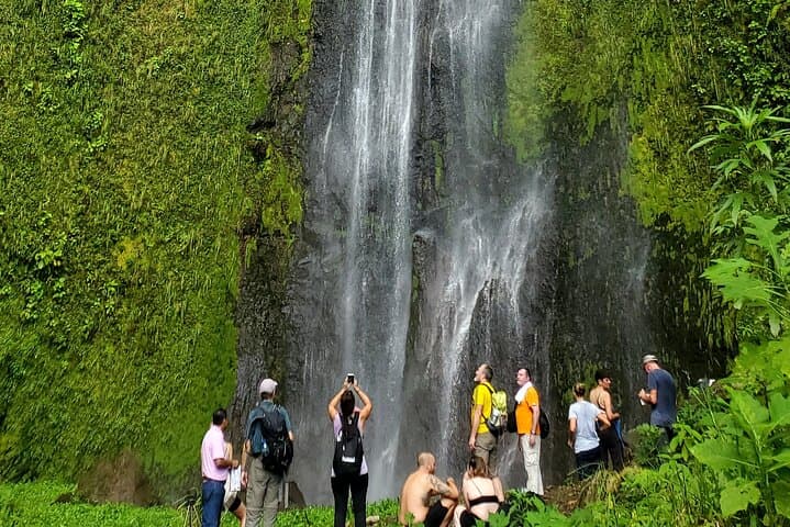 Ometepe One-Day: San Ramón Waterfall Hike, Kayak the Istián Marsh & Sunset at Punta Jesús María