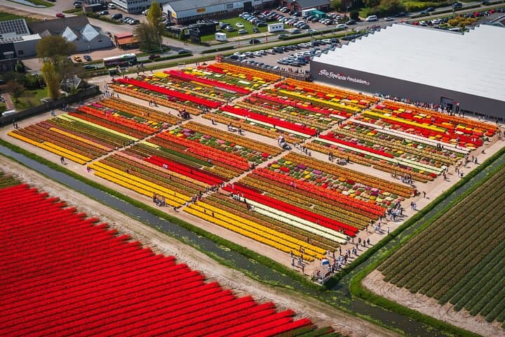 Keukenhof Tulip Experience: Skip-the-Line Tour from Amsterdam photo 3