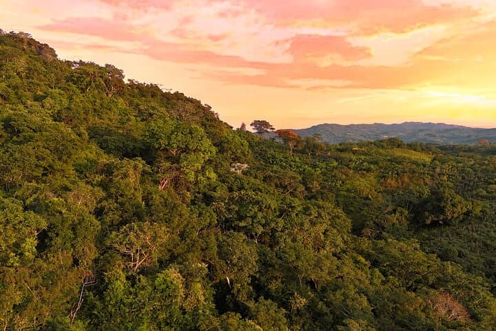 Wine in the Wild: Sunset UTV Wine Tasting & Conservation at Cerro El Peligro photo 5
