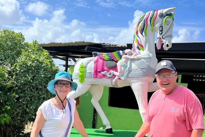 Aruba Ecological Beach Horseback Ride — Desert Trails to Turquoise Shoreline photo 3