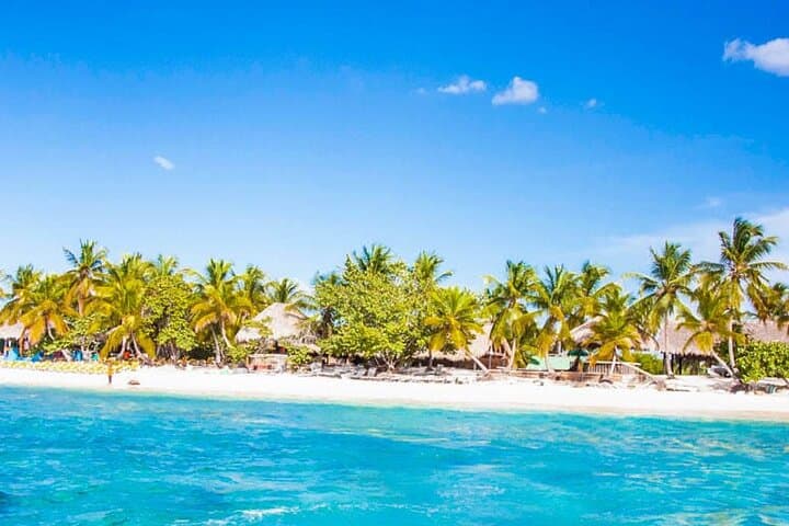 Punta Cana Catalina Island Diving & Snorkeling Day Trip
