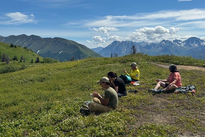 Palmer to Eska Falls: Full-Day Guided Hike to Hidden Waterfalls photo 2