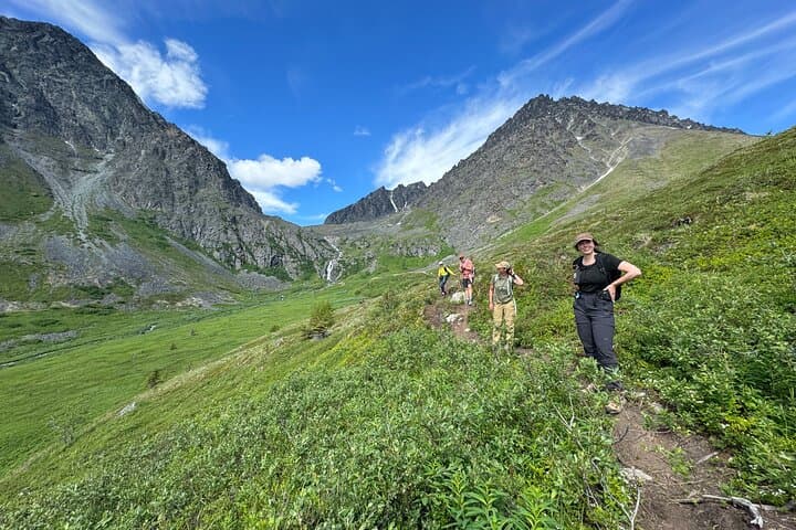 Palmer to Eska Falls: Full-Day Guided Hike to Hidden Waterfalls photo 5