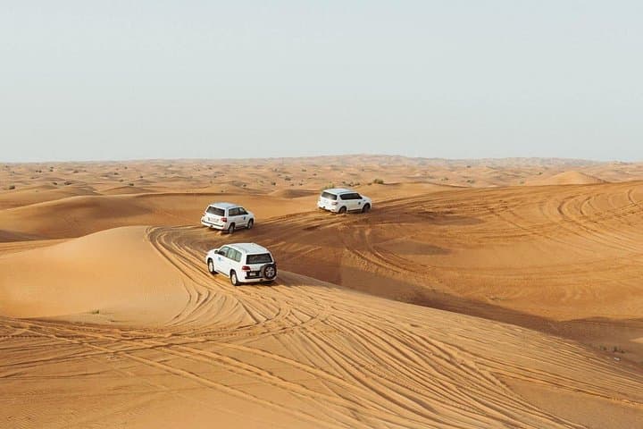 Half-Day Doha Desert Safari: Camel Ride, Dune Bashing & Inland Sea Visit photo 2