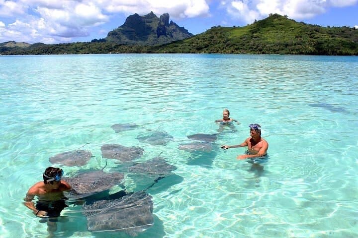 Private Bora Bora Lagoon Experience: Bora Bora Lagoon Cruise & Guided Snorkeling