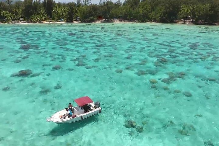 Private Bora Bora Lagoon Experience: Bora Bora Lagoon Cruise & Guided Snorkeling photo 2