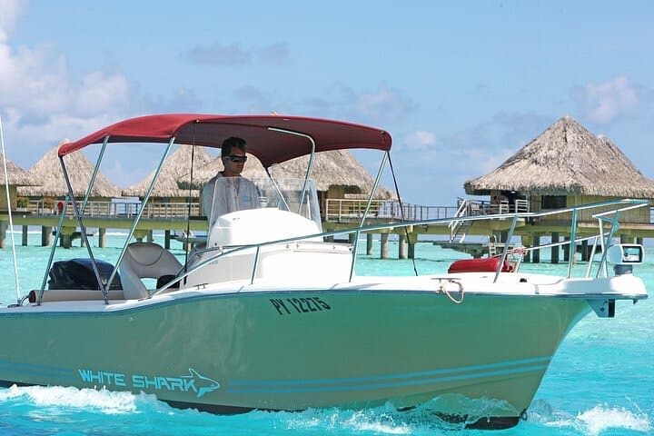 Private Bora Bora Lagoon Experience: Bora Bora Lagoon Cruise & Guided Snorkeling photo 3