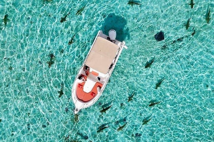 Private Bora Bora Lagoon Experience: Bora Bora Lagoon Cruise & Guided Snorkeling photo 5