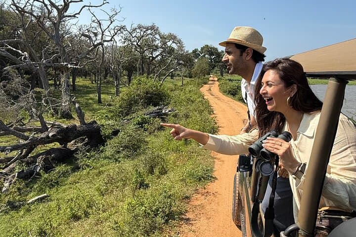 Yala National Park Safari — Half & Full‑Day Jeep Tours to Spot Leopards photo 3