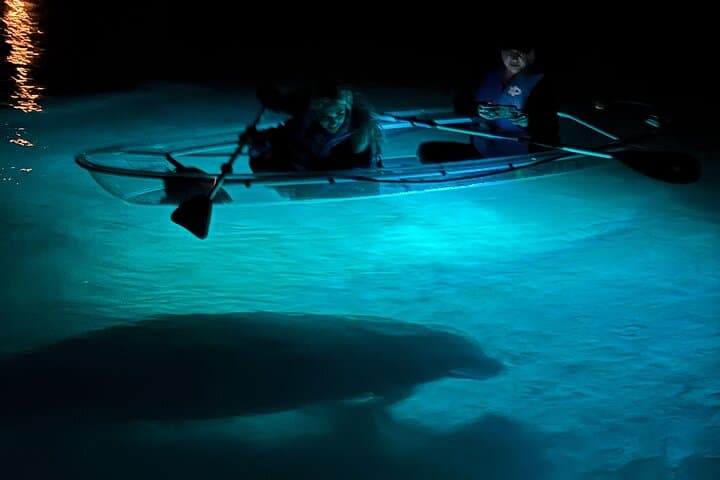 Crystal River Glow Kayak Manatee Tour at Sunset photo 4