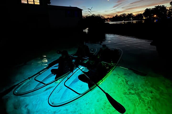 Crystal River Glow Kayak Manatee Tour at Sunset photo 2